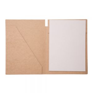 Pasta convenção kraft